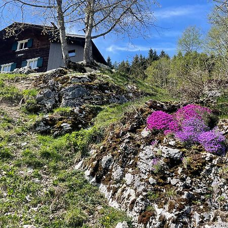 Alpenchalet Piz Huesli Tschagguns Exteriör bild