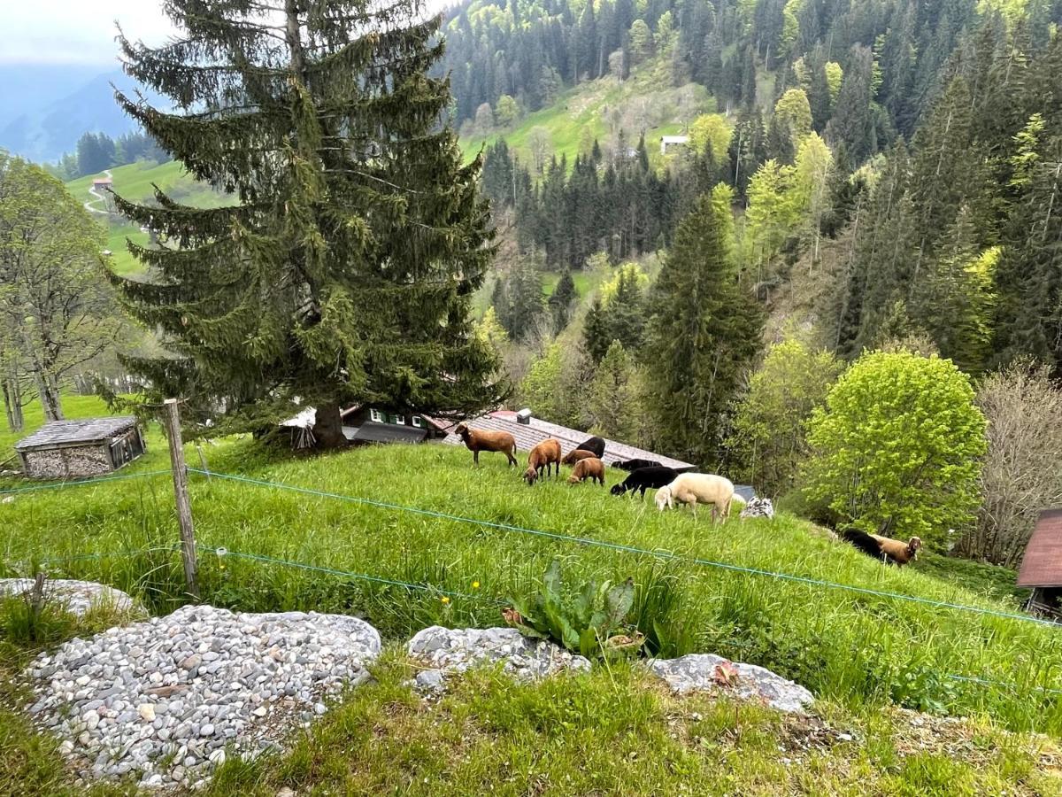 Alpenchalet Piz Huesli Tschagguns Exteriör bild