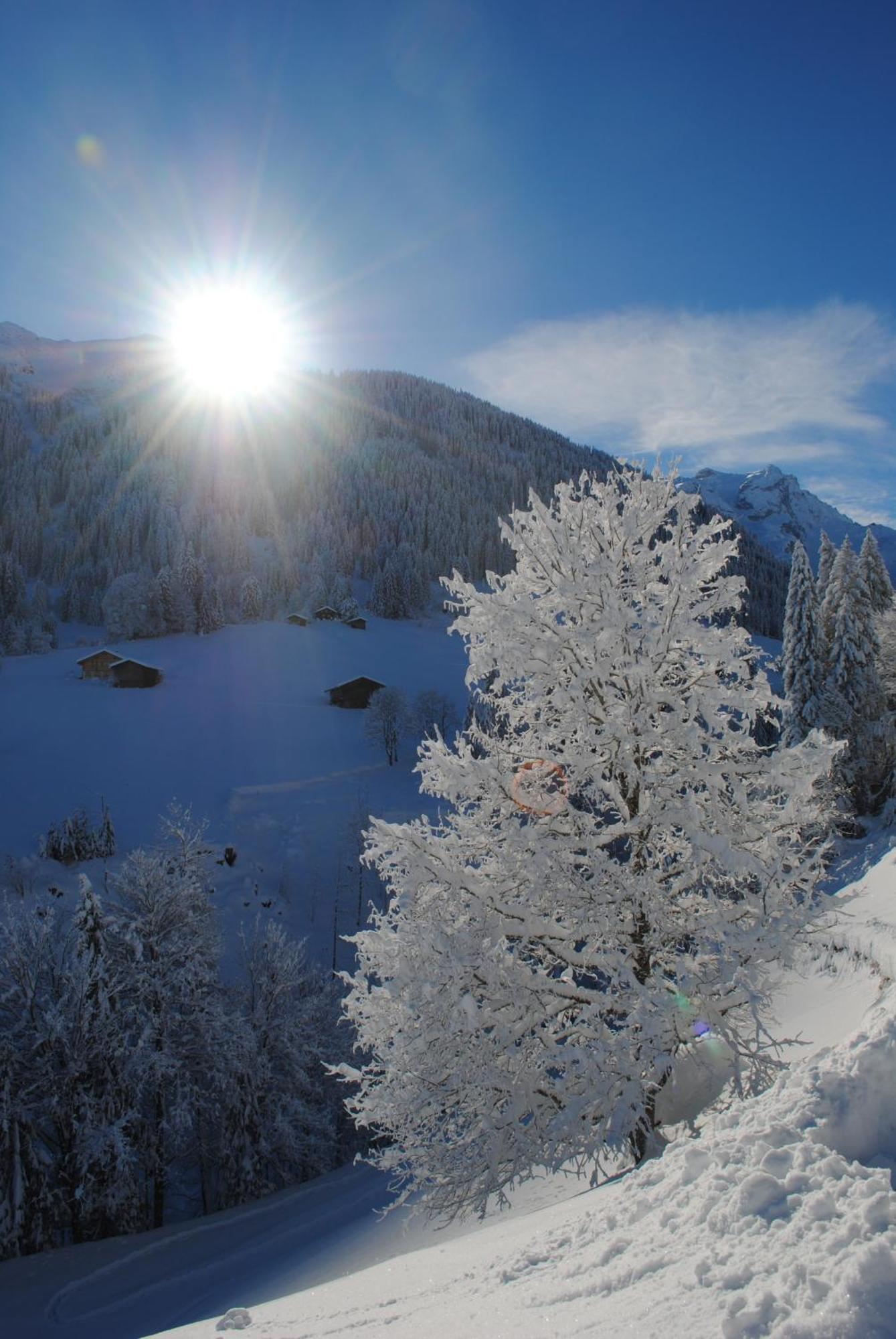 Alpenchalet Piz Huesli Tschagguns Exteriör bild