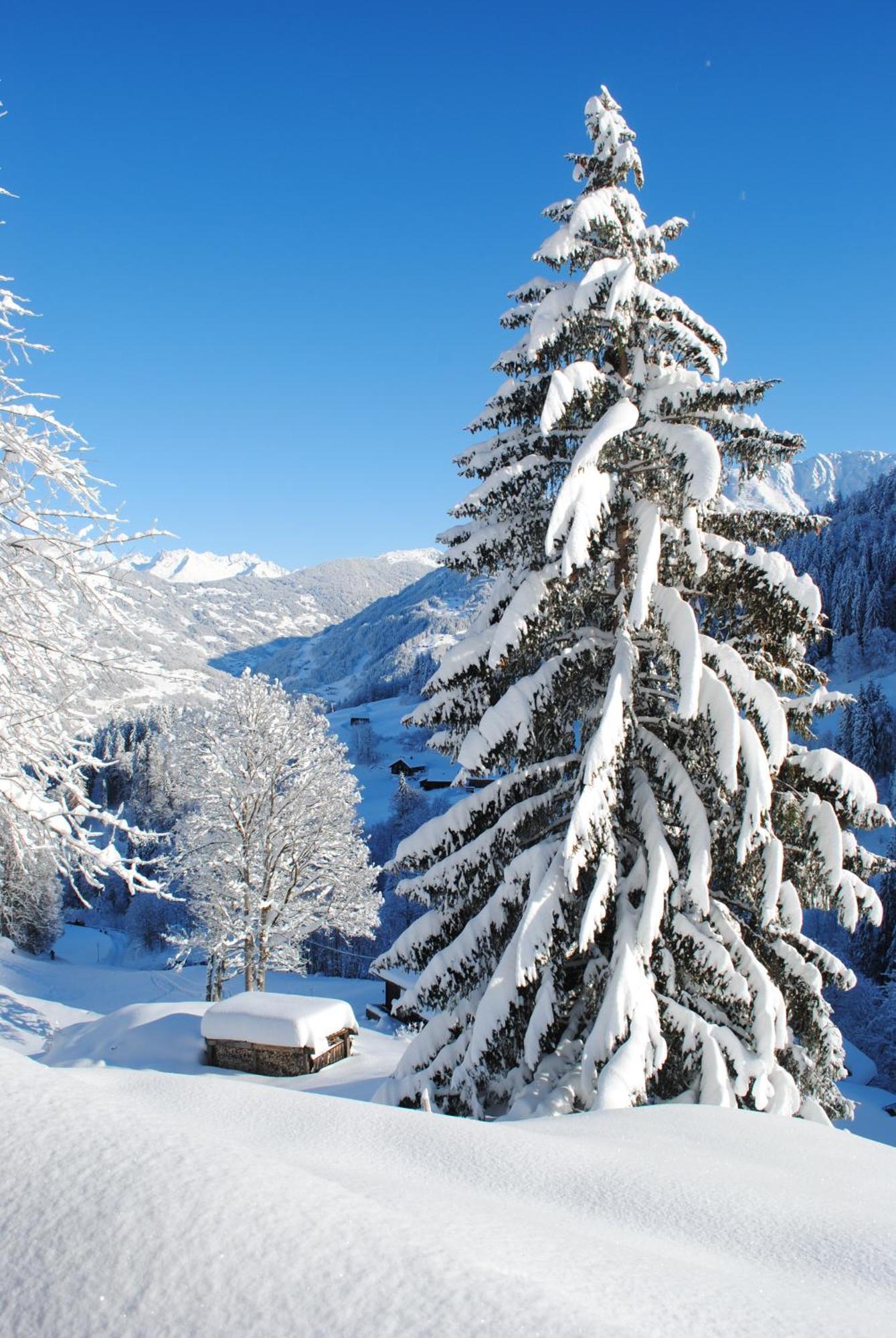 Alpenchalet Piz Huesli Tschagguns Exteriör bild