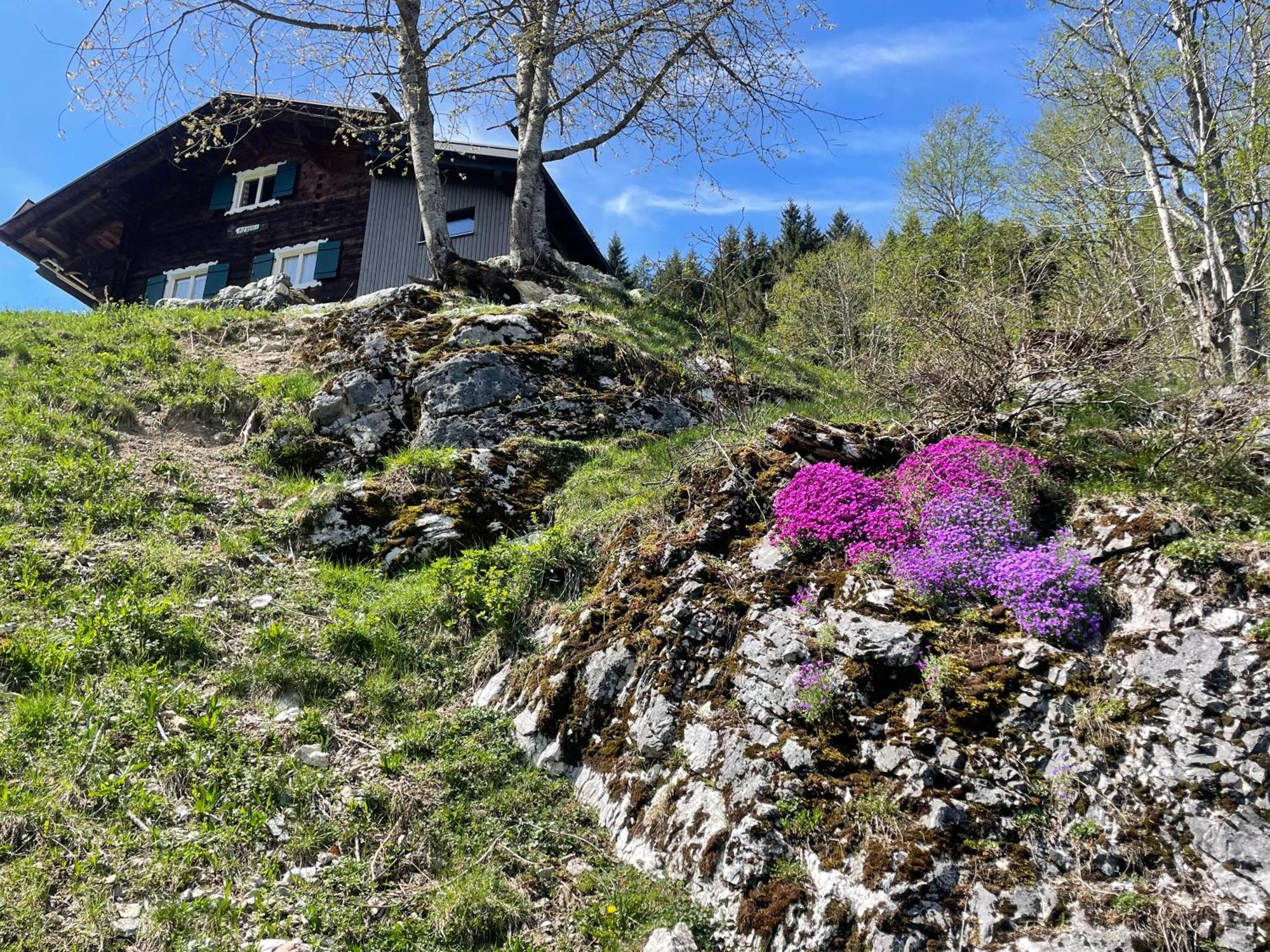 Alpenchalet Piz Huesli Tschagguns Exteriör bild